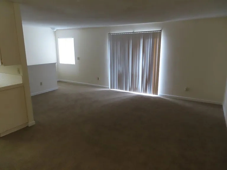 7890 Camino Glorita — Photo 4