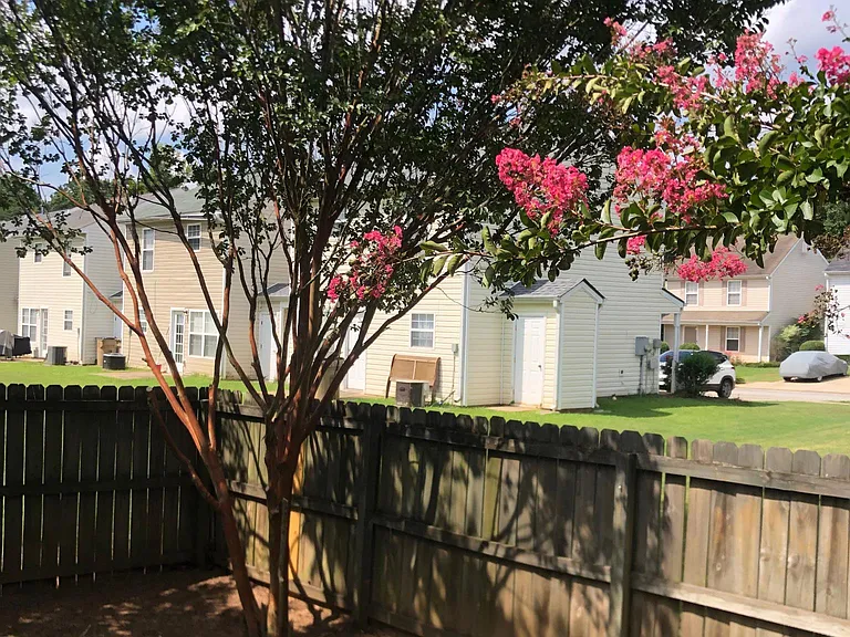 Fenced Yard