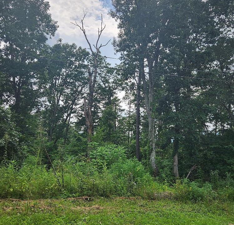1st image of 54/55 Hill Dr