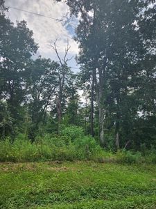 54/55 Hill Dr, Dunlap, TN, 37327