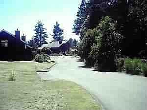 view west across lots front