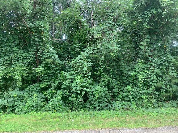 2nd image of Hawthorne Ln Lot Wp04