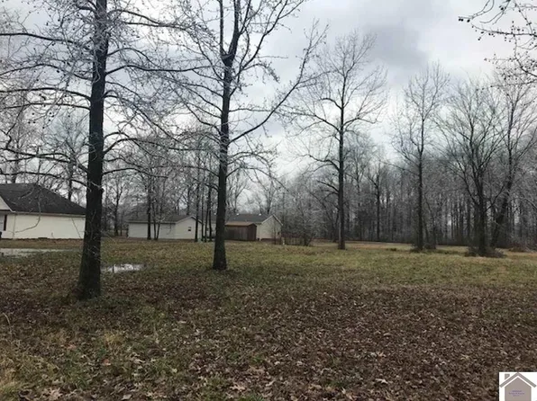 12 1901 Evelyn Dr, Paducah, KY 42003