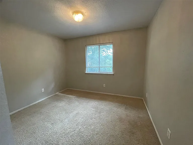 4524 Destinys Gate Dr — Photo 12