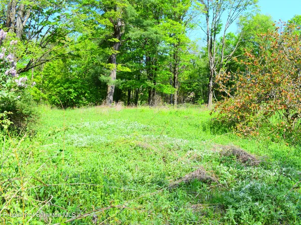 Forks Hill Rd, Montrose, PA 18801