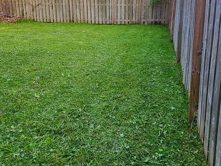 Perfect for small dogs.