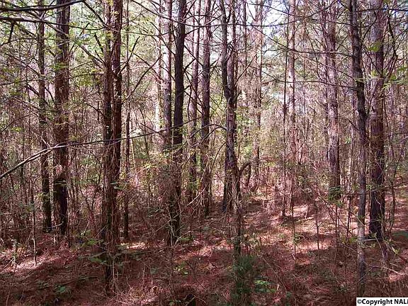 5th image of 208 County Road 1078