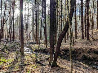 Indian Valley Rd, Indian Valley, VA 24105