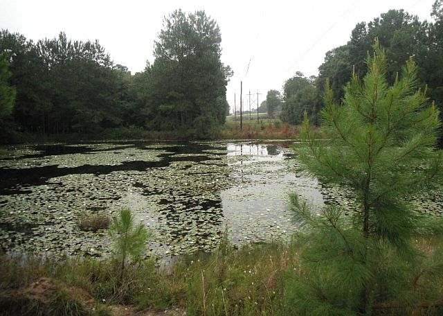 1st image of 2181 State Highway 133 N