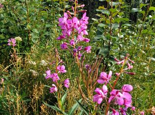 L11 B Brenden Blvd #1, Copper Center, AK 99573