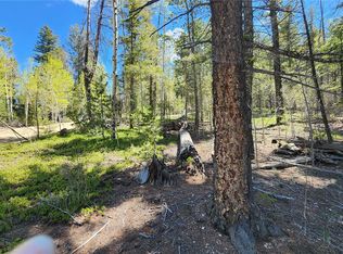 6763 Kerrigan Rd, Fort Garland, CO 81133