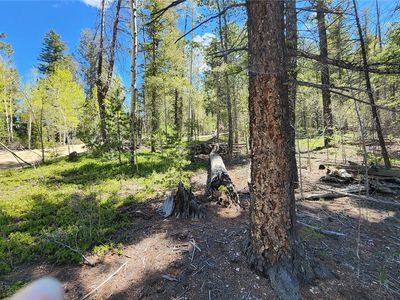 6763 Kerrigan Road, Fort Garland, CO, 81133