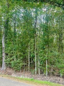 52461 Cypress St, Independence, LA, 70443
