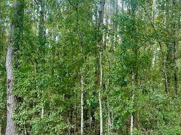 52461 Cypress St, Independence, LA 70443