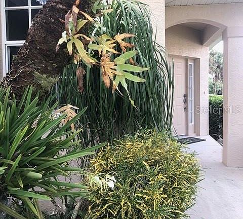 4th image of 3335 Osprey Ln