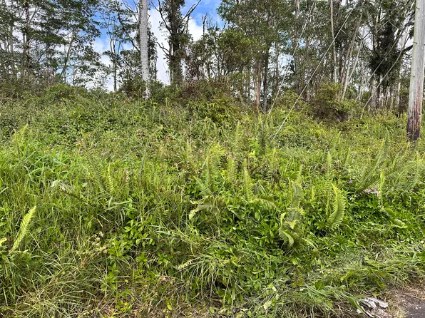 Road 6 Ooaa Lot 4143, Kurtistown, HI 96760