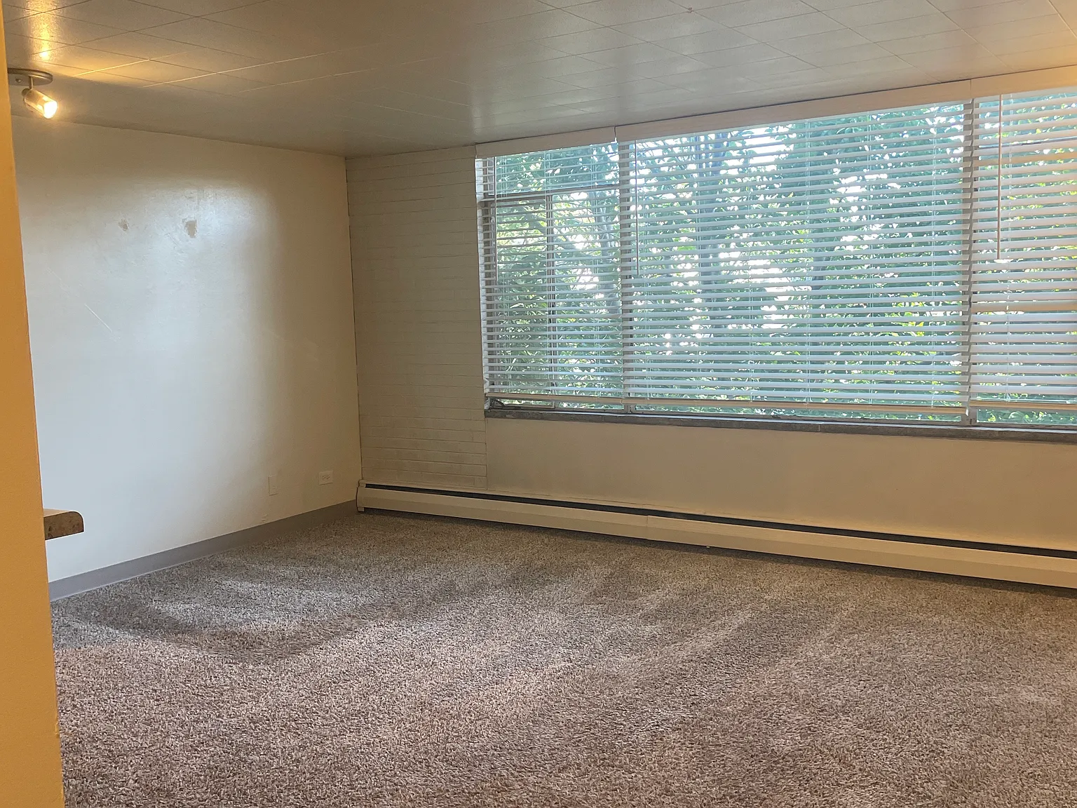 1 bed, 700 sqft, $1,000 — Photo 3