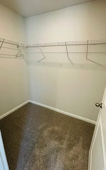 Master Walk-in Closet