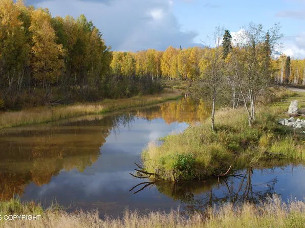 49628 S Hunter Dr, Willow, AK 99688