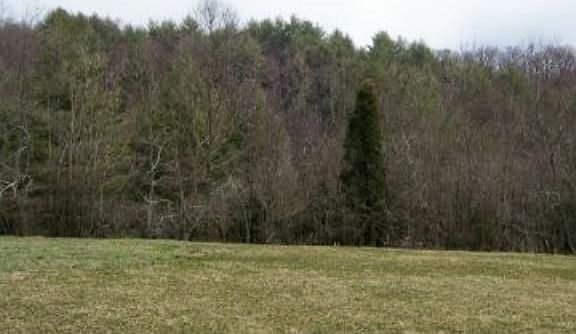 3rd image of 583 Kings Grove Ln