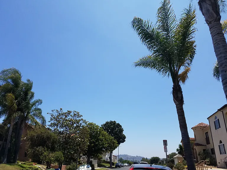 1607 S Sierra Bonita Ave — Photo 25