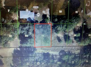 2408 Bluegrass St Lot 37, Inverness, FL 34453