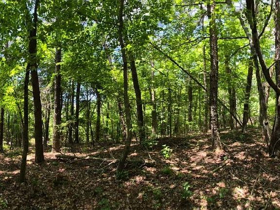 4th image of 2 Cherokee County Rd #275