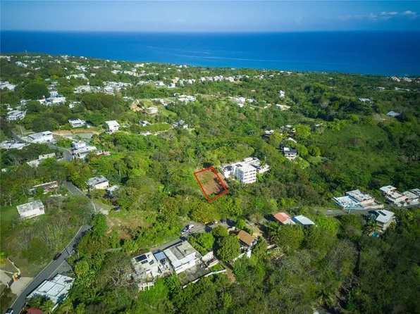 Carr 115 Km 5.5 Int, Rincon, PR 00677