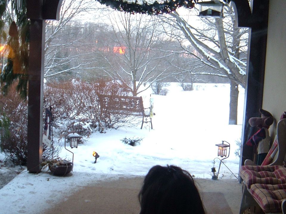 view of pond and field