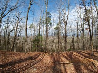 142A Teel Mountain Ln, Cleveland, GA 30528