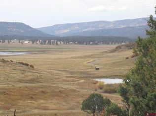 X Roush Dr, Pagosa Springs, CO 81147