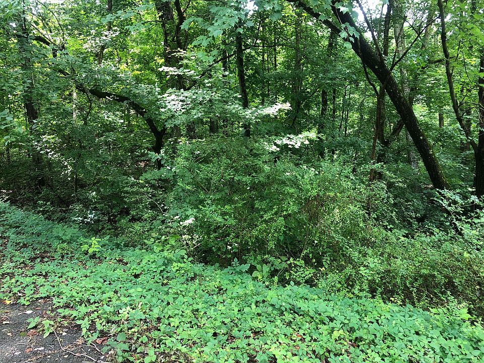 2nd image of Kimbark Ln