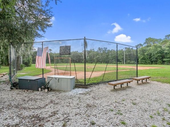 16843 Harrierridge Pl, Lithia, FL 33547