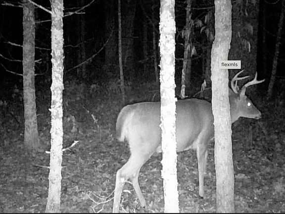 4th image of 6159 S Forman Rd