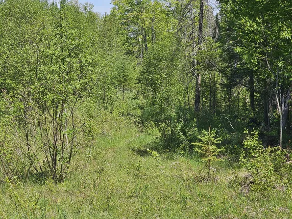 NULLB Gager Rd, Engadine, MI 49827