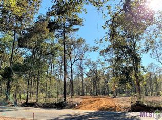 1D Highway 63, Clinton, LA 70722