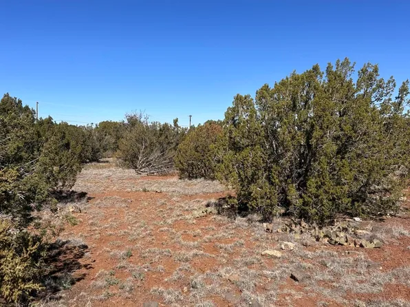 8490 Canyon Dr, Show Low, AZ 85901