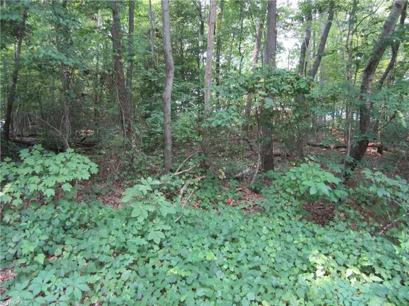 133 Redbud Rd, Lexington, NC 27292