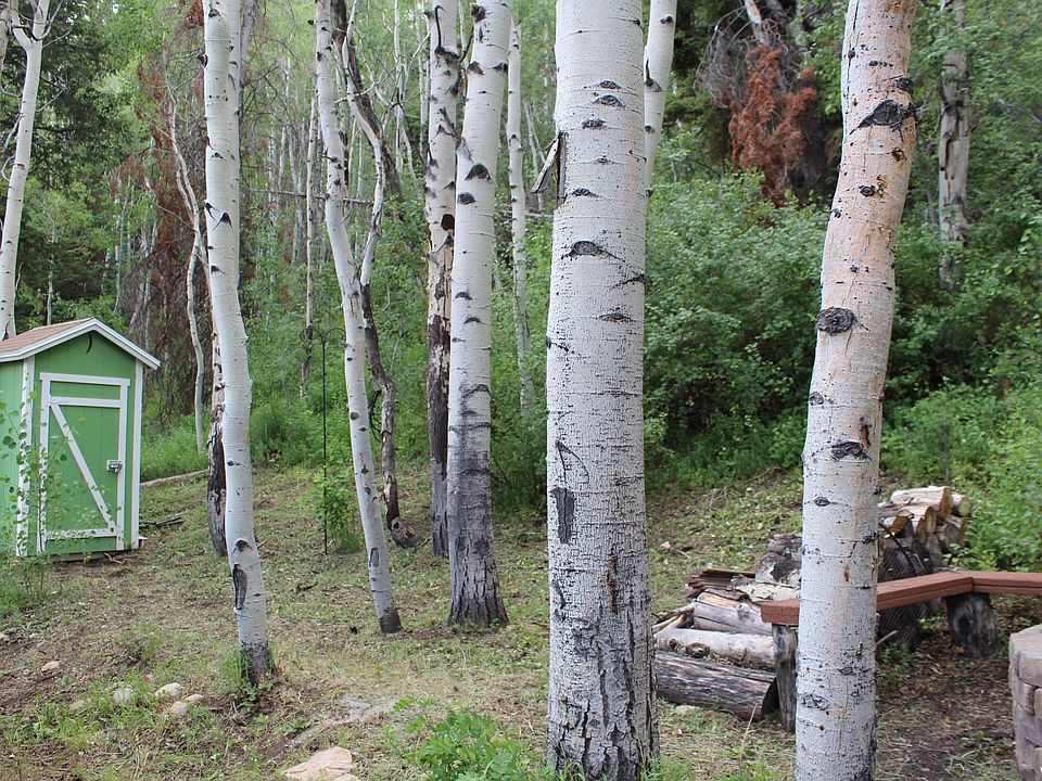 33 Tabby Hts W, Tabiona, UT 84072 MLS 1898688 Zillow