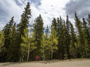 180 Peterson Dr, Alma, CO 80420