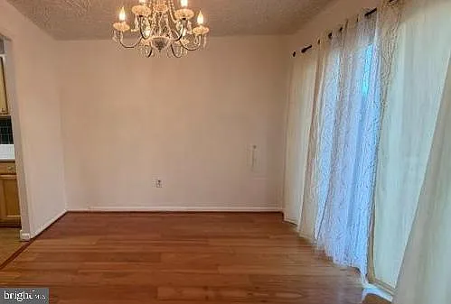 18726 Curry Powder Ln — Photo 5