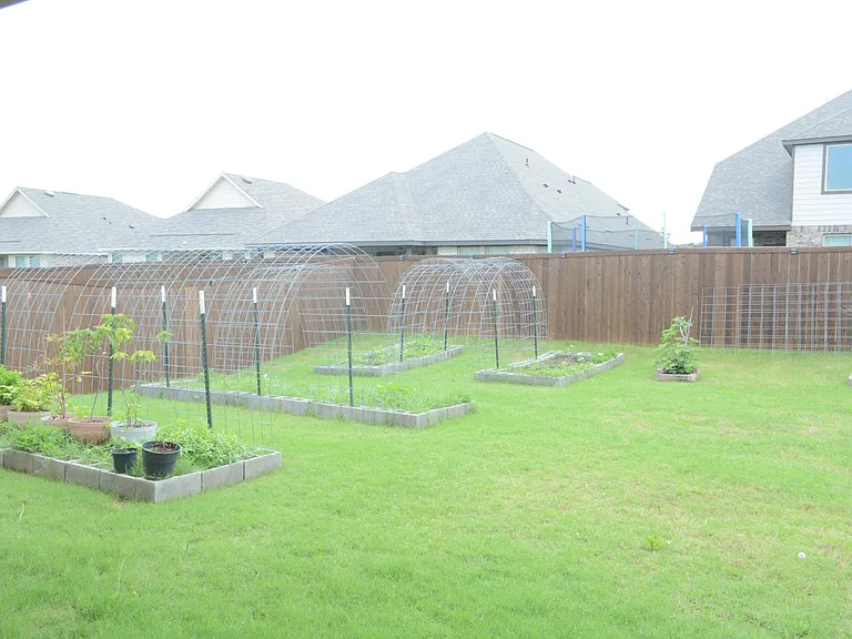 11612 E Silver Queen Dr — Photo 20