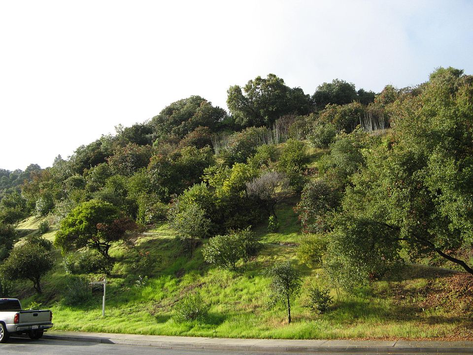 view from front