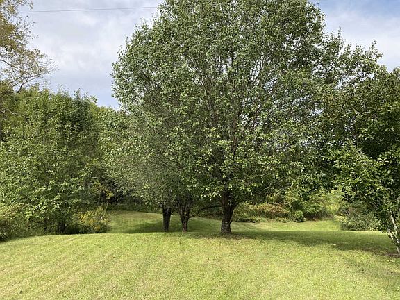 3rd image of 349 Simmons Hill Ln