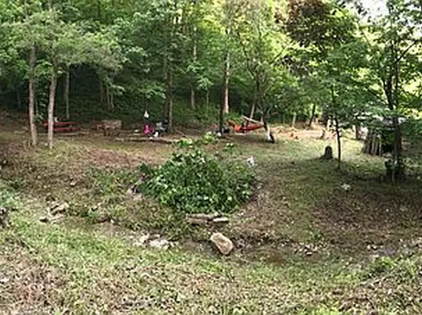59199 Ogilbee Rd, Jacobsburg, OH 43933