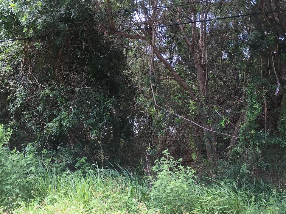 2nd image of 00 Yearling Drive