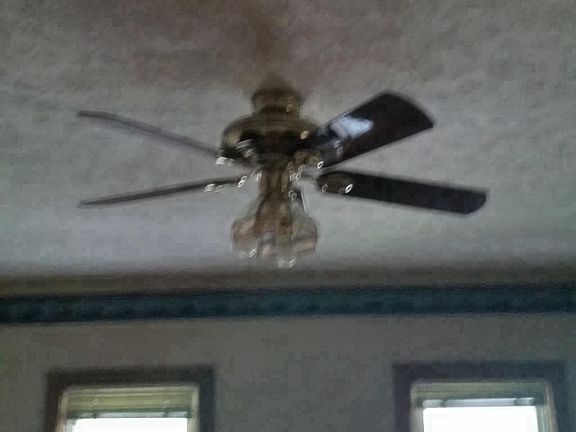 5th image of 56 Fairground Ave