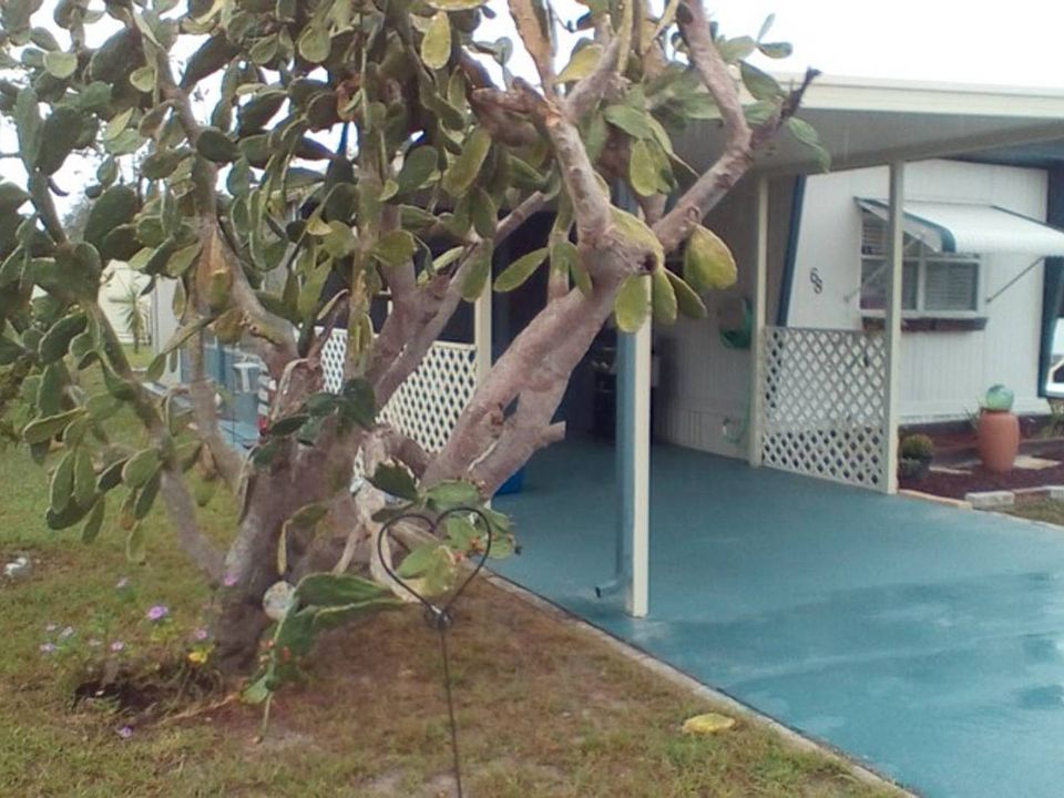 1st image of 68 Charlotte Dr