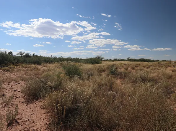 067D W Eeyore Ln, Benson, AZ 85602