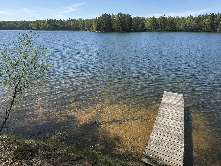 10727 Mann Lake Rd — Photo 11